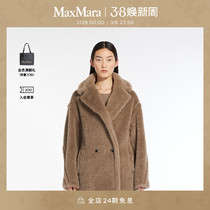 MaxMara 2024 Early Spring New Dress Teddy Bear Short big coat 1081044106