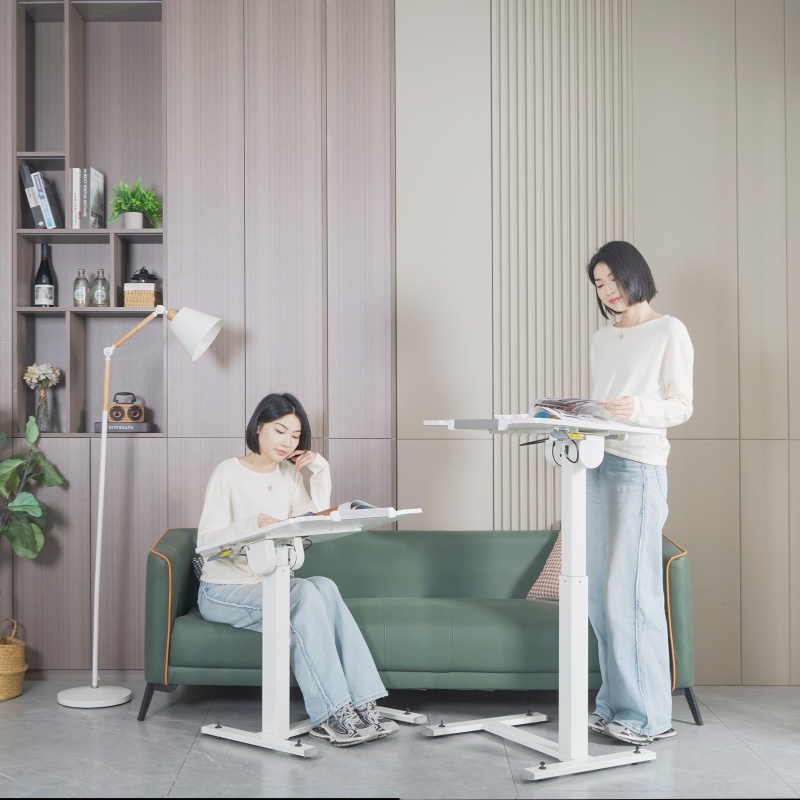 Frankwood桌面可折叠移动升降床边办办公桌电脑桌家用学习小桌子 - 图0