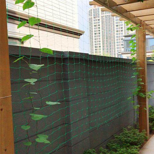 园艺爬藤网百香果葡萄植物攀爬瓜果藤蔓花卉尼龙网豆角牵藤搭架网,淘宝优惠券,粉丝福利购,淘宝优惠卷