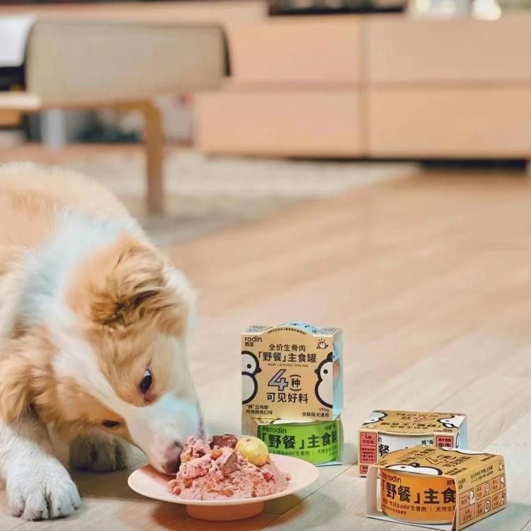 肉垫rodin全价生骨肉主食狗罐头狗狗湿粮主粮野餐系列增肥拌粮,淘宝优惠券,粉丝福利购,淘宝优惠卷