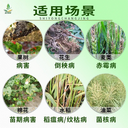 50%多菌灵果树水稻花卉杀菌剂赤霉病纹枯病菌核病植物专用农药-图0