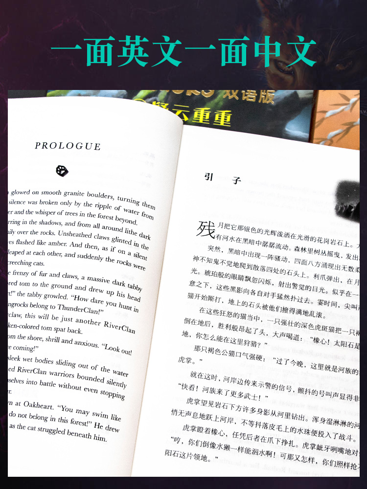 猫武士首部曲双语版全套正版6册中英双语中文版英文原版中小学生四五六七八年级阅读课外书必 读1-2-3-4-5-6-7成长动物小说故事书 - 图2