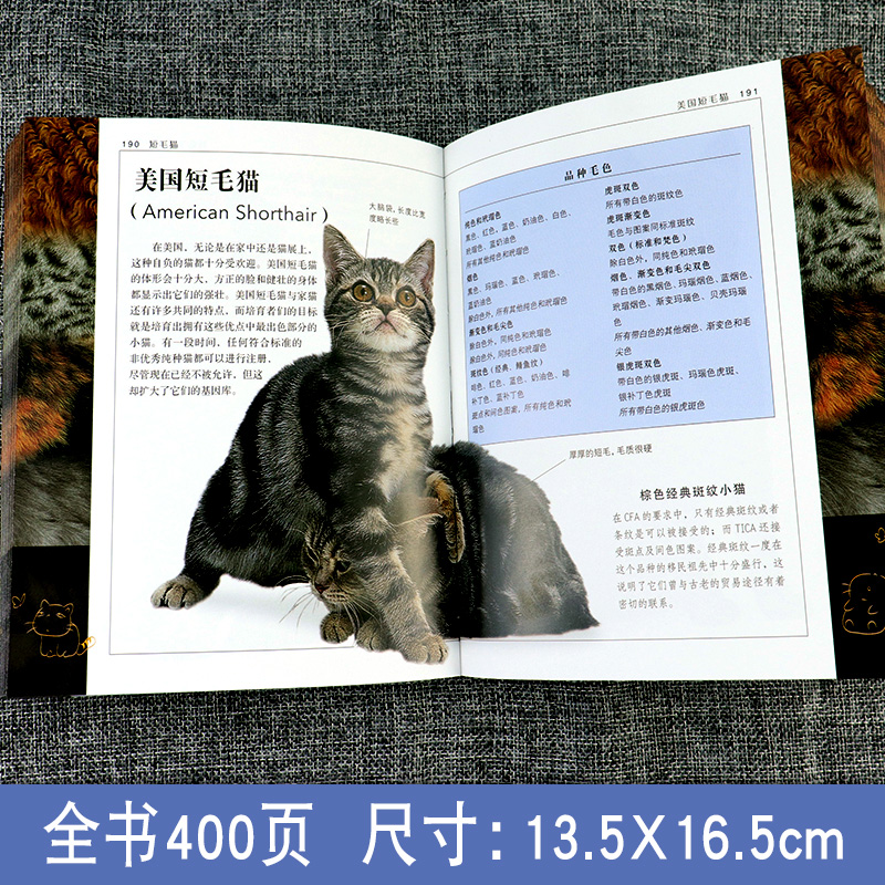 正版 DK猫咪百科 70多种猫咪科普 宠物猫图鉴 猫的喂养方式 科学饲养 养猫全攻略书籍 爱猫党撸猫党喵星人 猫类驯养入门教程 - 图1