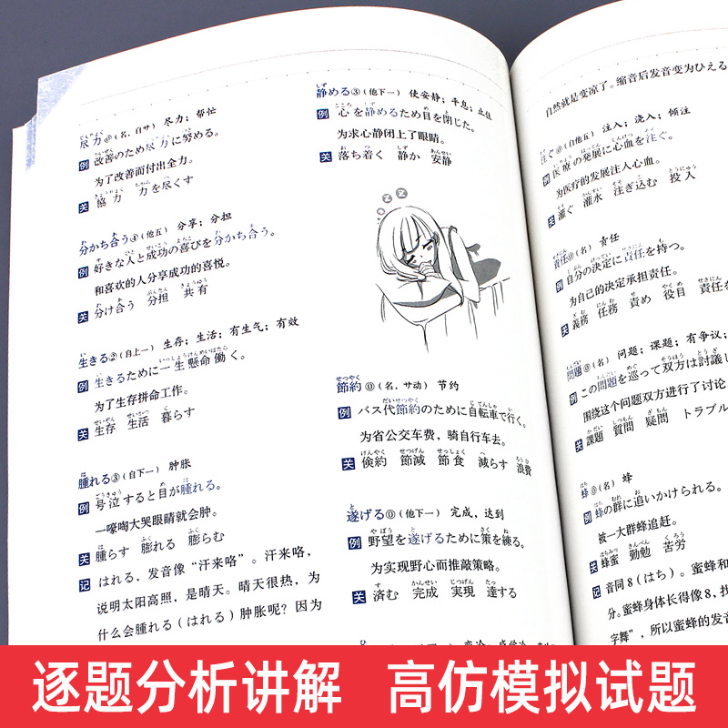 考研日语蓝宝书 考研日语绿宝书 考研日语橙宝书203日语全3册王进肖博涵单词词汇基础知识阅读理解真题详解模拟题 2025年 考研日语 - 图1