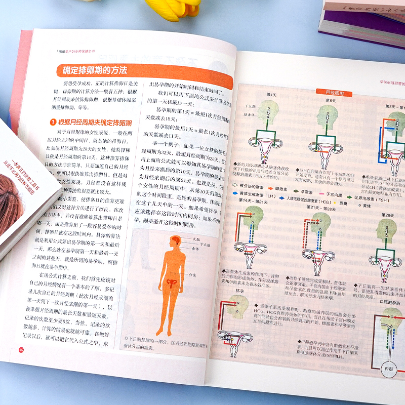 孕产妇全程保健全书 图解知识百科根据准妈妈贴身 需求准备怀孕呵护全程指导育儿书指南孕妇书籍大全 怀孕期 - 图1