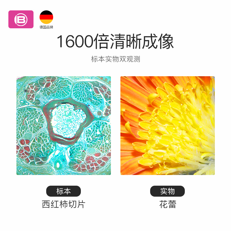 德国bresser显微镜中学生专业版光学生物初中生科学实验套装可看细菌精子高倍高清家用养殖生日礼物