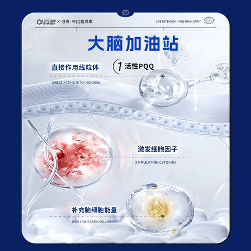 沿寿LIFE美国进口银杏叶脑活素脑雾补脑记忆力片预防中老年人大脑 - 图2