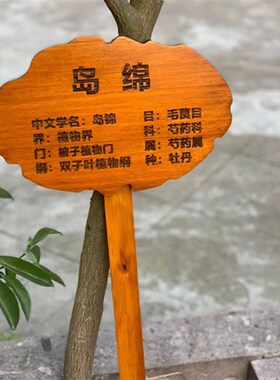 速发实木植物质签牌园园幼儿菜木标插地牌户外指示标识牌告示木牌