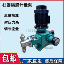 Plunger-type diaphragm metering pump 304 stainless steel high lift precision metering dosing pump hydraulic diaphragm metering pump