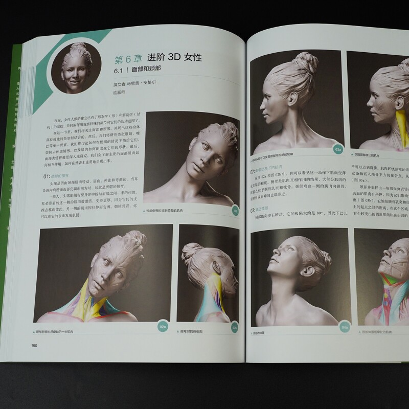 新书现货 3D艺用人体解剖学 CG专业人士数字艺术领域创作指南 600+幅模型建构分解图 人体素描人物描绘模型雕刻绘画书籍 后浪正版