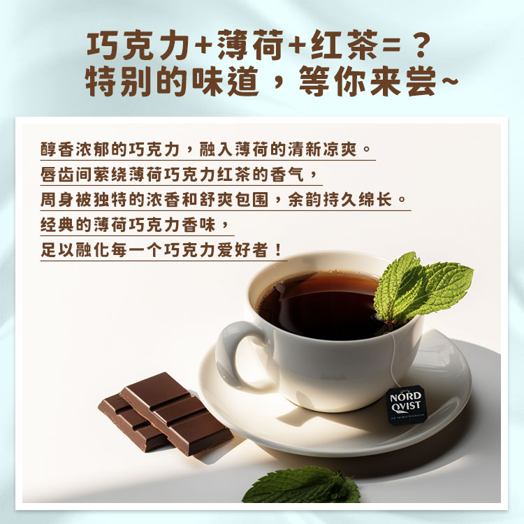 【Nicole老爷】芬兰进口暖达芬经典巧克力薄荷风味红茶袋泡茶包