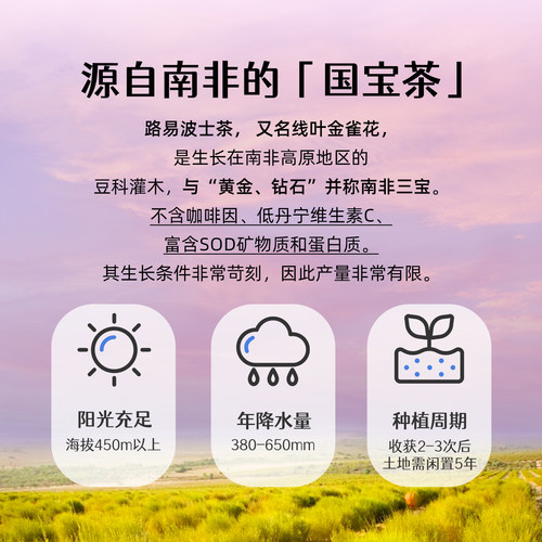 芬兰进口Nordqvist暖达芬有机越橘蓝莓护眼茶无咖啡因晚安助眠茶 - 图1