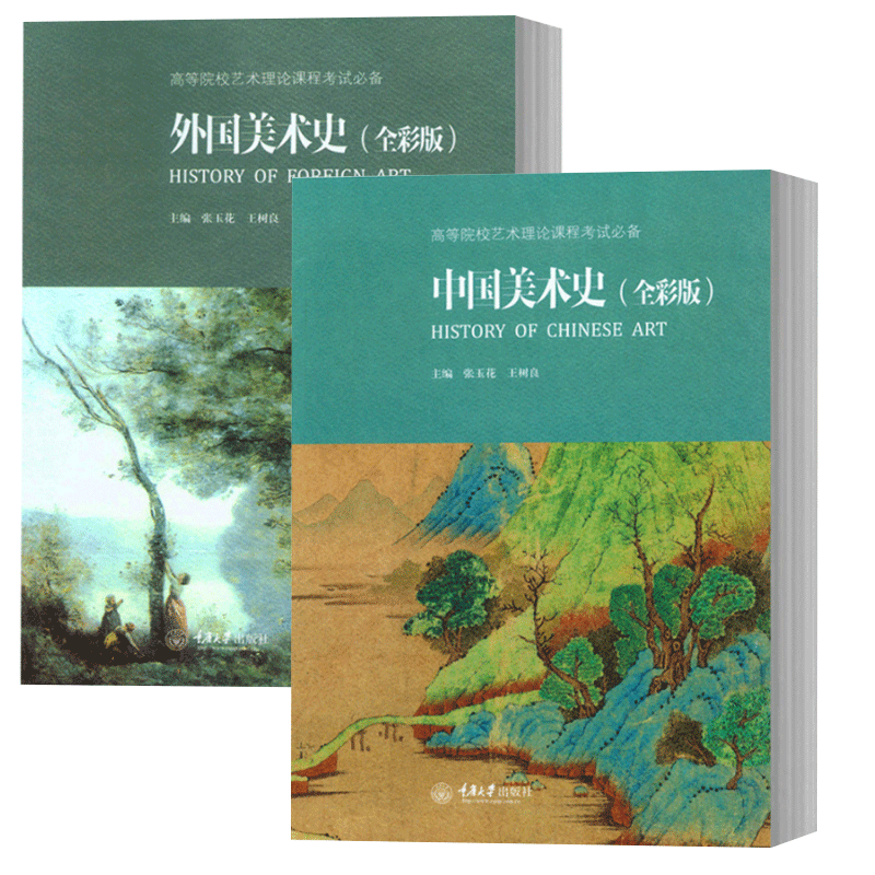 中国美术史+外国美术史 全彩版全2册 王树良 艺术硕士入学考试考点精编 考研教材初学艺术学概论入门教材书精解考试大纲考研复习
