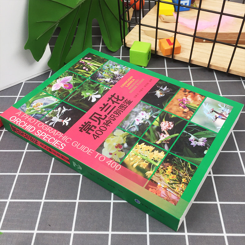 正版现货 常见兰花400种鉴别图鉴 兰花的基础知识 兰花的形态特征 兰花的分类 兰花种类介绍 自然科普书 重庆大学出版社