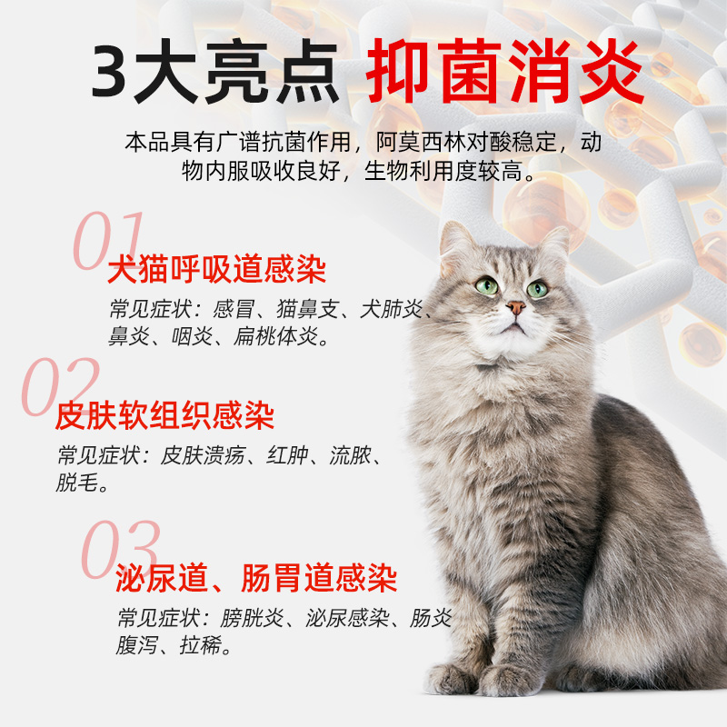 阿莫西林片宠物猫咪狗狗专用消炎药感冒流鼻涕猫鼻支速愈合诺兽用