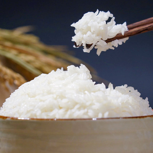 整箱批发陇间柒月富硒大米5kg*4袋新米贡米长粒香东北大米40斤装 - 图0