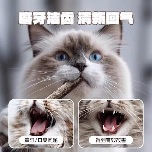 猫零食木天蓼磨牙棒猫咪磨牙洁齿清新口气幼猫成猫通用宠物用品 - 图2