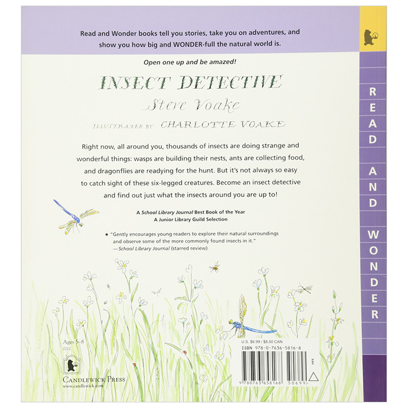 【预售】英文原版 Insect Detective 昆虫侦探 儿童趣味科普 昆虫知识入门 3-6岁英语儿童进口绘本 善优童书 - 图0