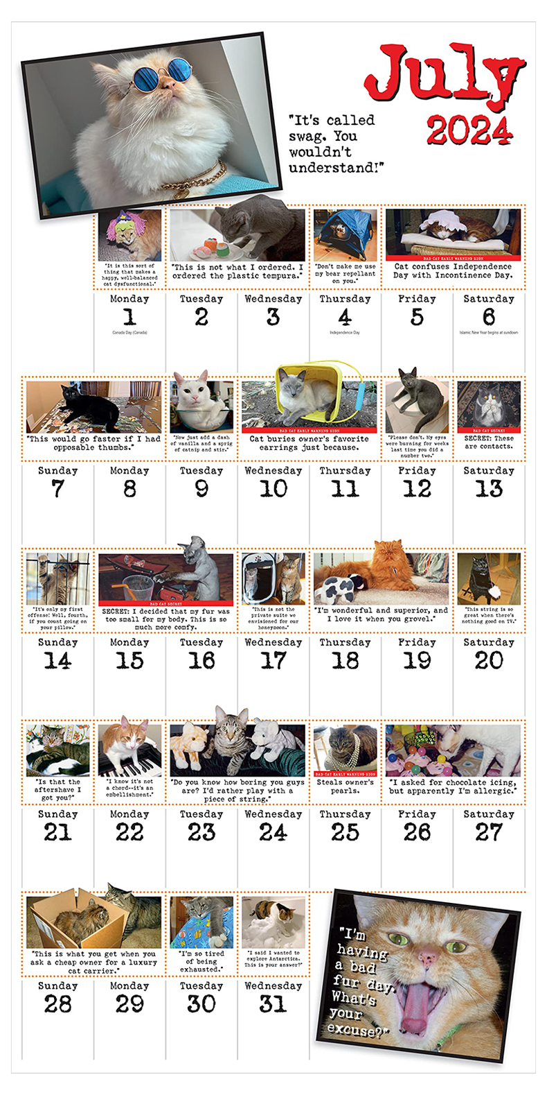 【预售】Bad Cat Wall Calendar 2024: Celebrating the Misfits of the Feline World 日历 挂历 英文原版 - 图1