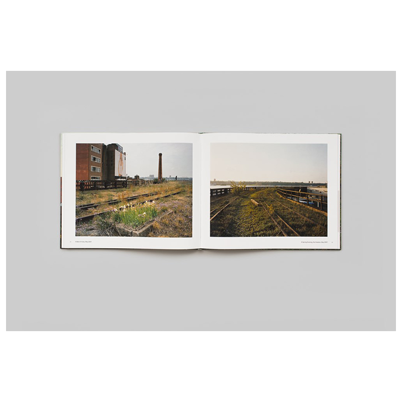 【现货】乔尔·斯坦菲尔德：行走于高线公园  Joel Sternfeld: Walking The High Line Revised Edition 原版英文摄影 正版进口书 - 图3