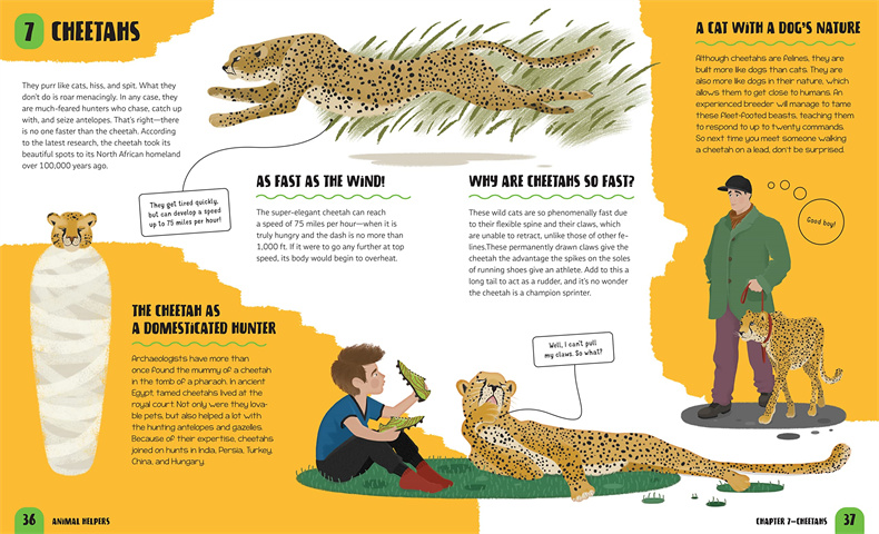 【预售】英文原版 动物帮手Animal Helpers 儿童英语艺术插画绘本精装 6岁+进口图书 善优童书 - 图3