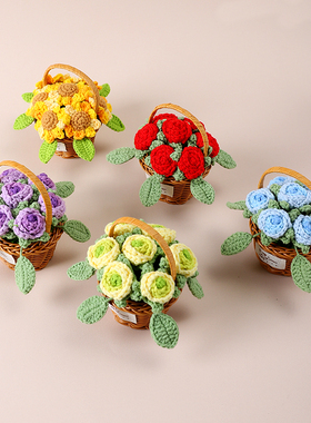 成品新款小花篮盆栽手工编织送人