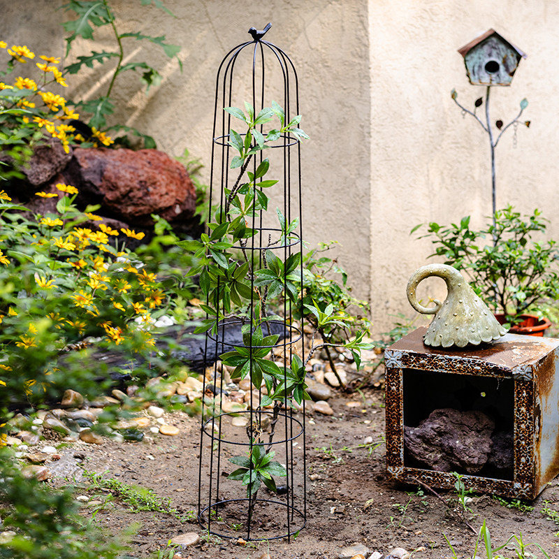 户外铁艺爬藤架月季铁线莲花盆支架阳台种菜园艺支撑杆防倒伏花架,淘宝优惠券,粉丝福利购,淘宝优惠卷