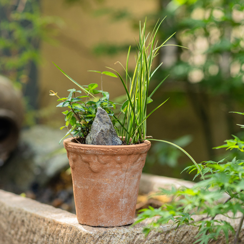 掬涵陶盆花盆陶土粗陶透气红陶田园朴素自然乡村复古做旧泥瓦花盆,淘宝优惠券,粉丝福利购,淘宝优惠卷