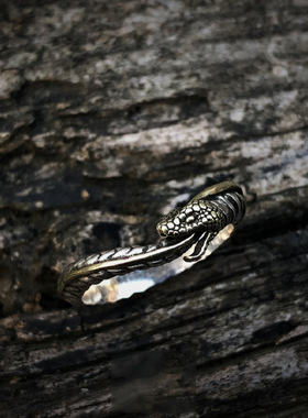 欧美复古蛇形戒指潮流百搭衔尾蛇百搭做旧个性小众设计开口食指环