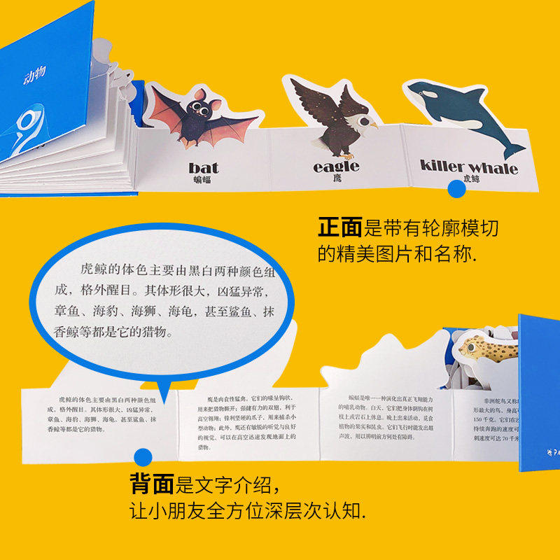 长长博物馆艺术动物鸟类昆虫王国认知卡儿童益智玩具挂图早教卡牌,淘宝优惠券,粉丝福利购,淘宝优惠卷