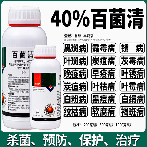 40%百菌清果树蔬菜杀菌剂早疫病白粉病炭疽病灰斑叶斑病霜霉病 - 图1