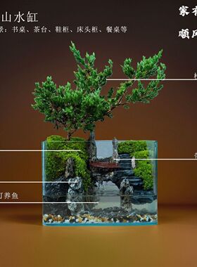 整套微景观生态鱼缸迷你