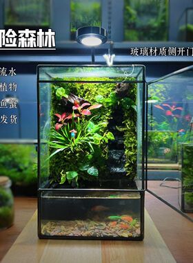 创意苔藓微景观生态流水