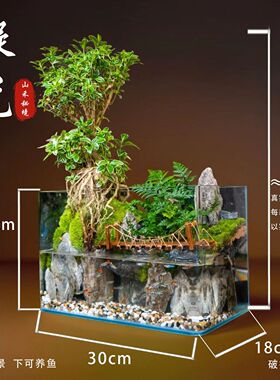 【山水鱼缸全套成品植物