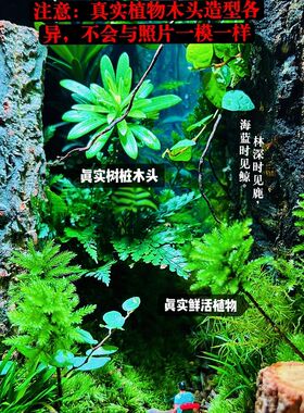 办公室成品网红创意桌面