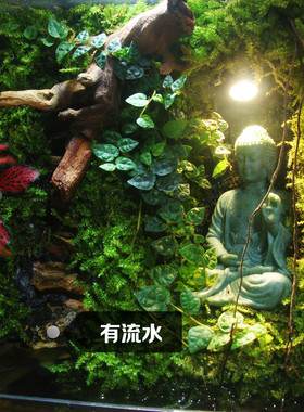 苔藓微景观雨林缸生态瓶