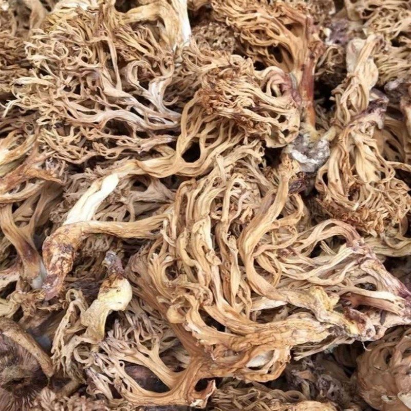 珊瑚菌野生刷把菌云南特t产龙爪菇扫把菌干货鸡爪菌素食扫帚菌袋,淘宝优惠券,粉丝福利购,淘宝优惠卷