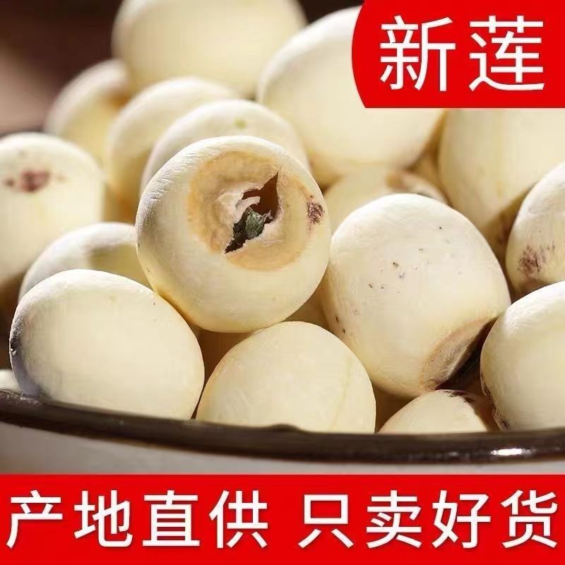 湘潭莲子官方旗舰商用店有芯干货实心莲子带芯N粉糯无硫500g白莲,淘宝优惠券,粉丝福利购,淘宝优惠卷