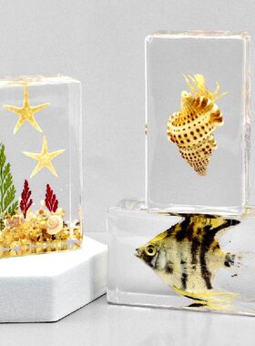 滴胶透明巴西龟螃蟹标本个性