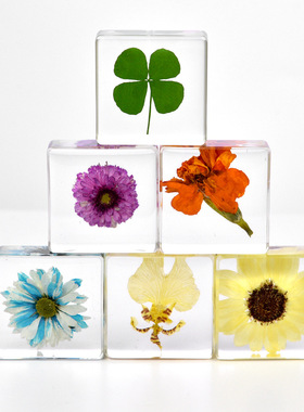 滴胶树脂干花书镇透明琥珀