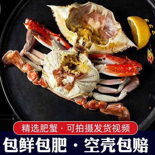 【保鲜不保活】活发青岛梭子蟹母蟹特大新鲜野生飞蟹海蟹螃蟹顺丰 - 图2
