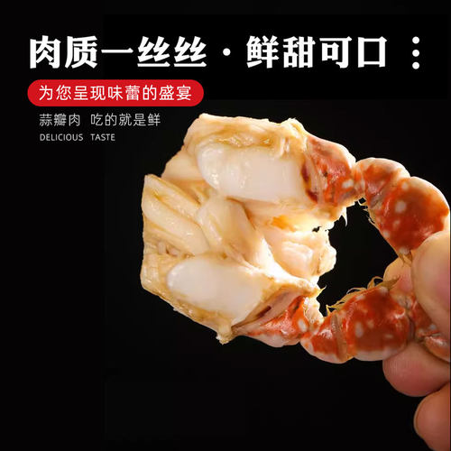 【保鲜不保活】活发青岛梭子蟹母蟹特大新鲜野生飞蟹海蟹螃蟹顺丰 - 图3