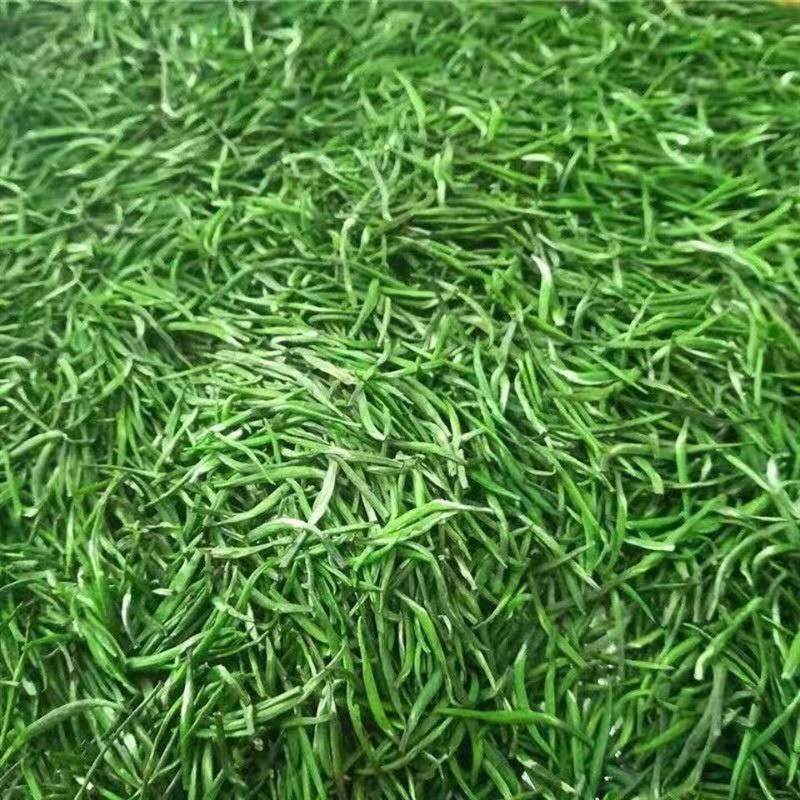 峨眉山优级竹青叶25年新茶春茶竹叶清茶叶竹叶清官方旗舰店罐装,淘宝优惠券,粉丝福利购,淘宝优惠卷