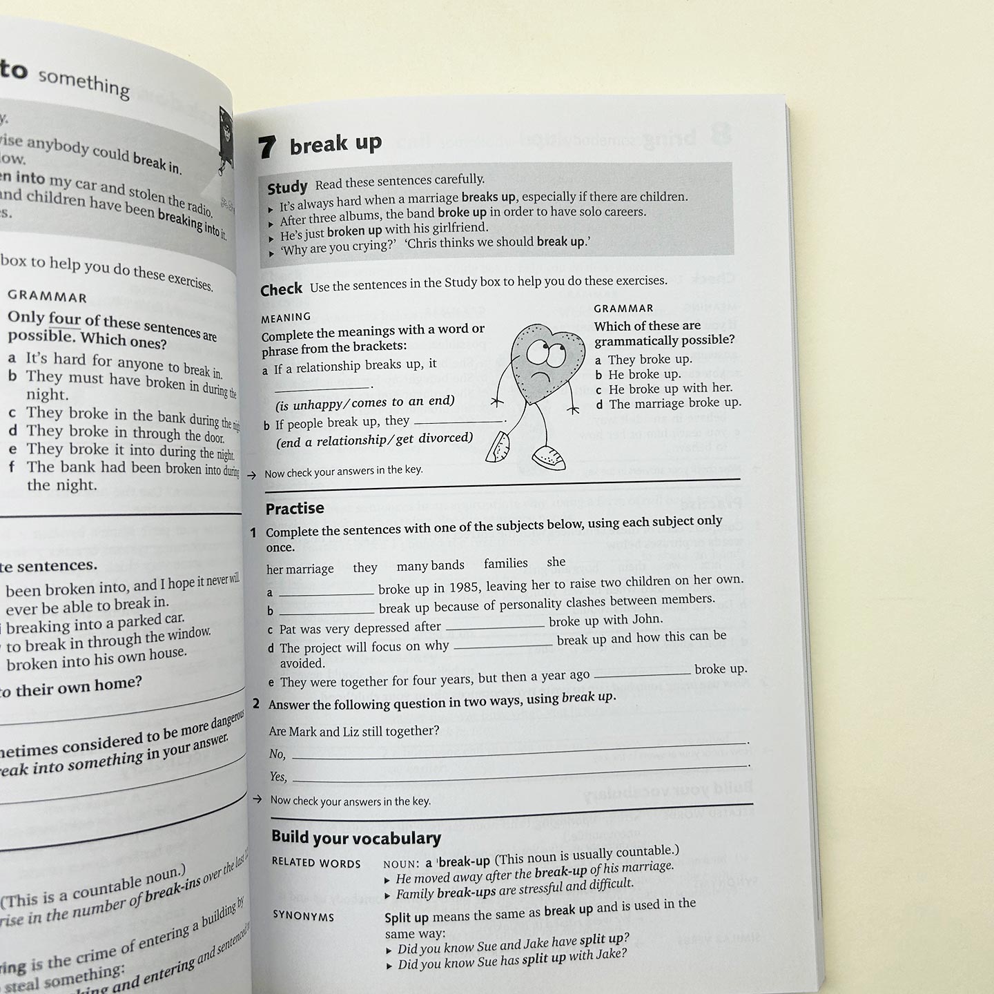英文原版 Really Learn 100 Phrasal Verbs 100个高频英语短语动词 英文版 进口英语原版书籍