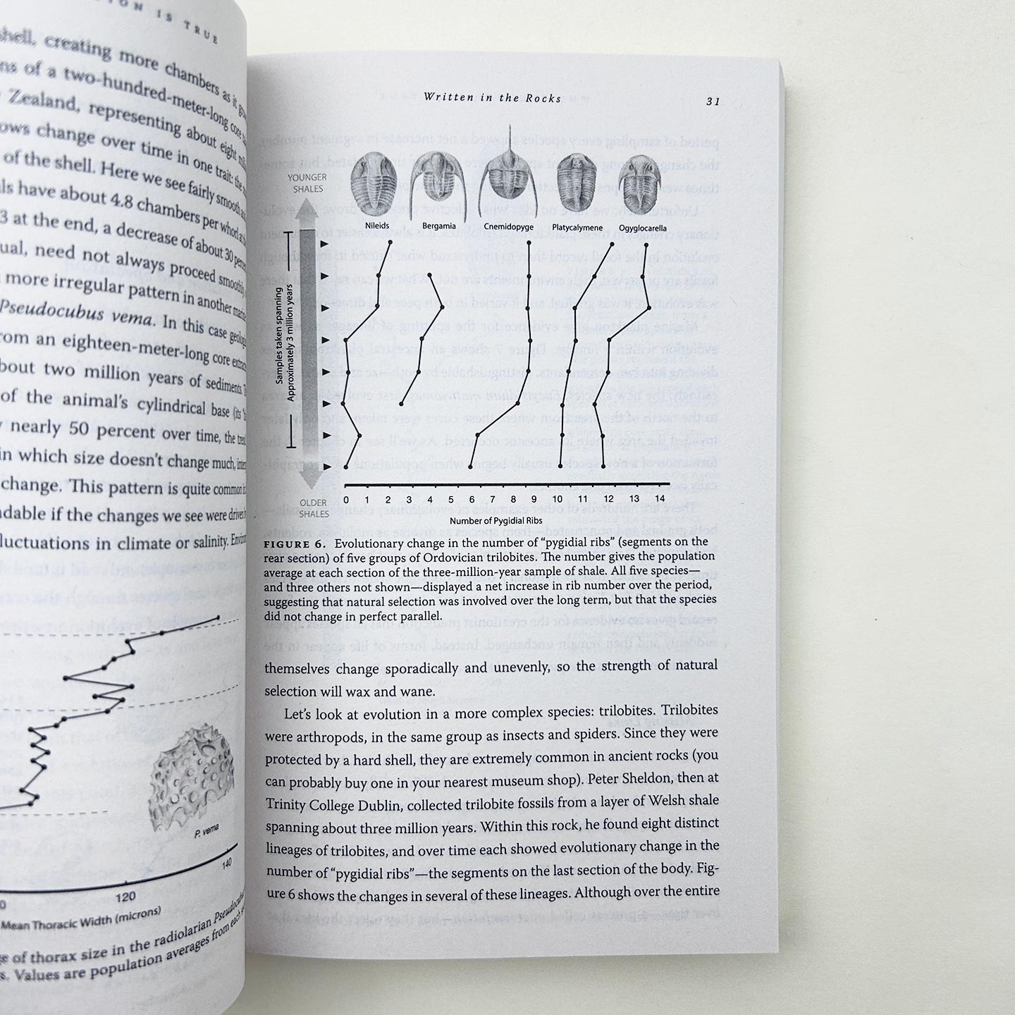 英文原版 Why Evolution Is True 为什么要相信达尔文 Jerry A Coyne 英文版 进口英语原版书籍