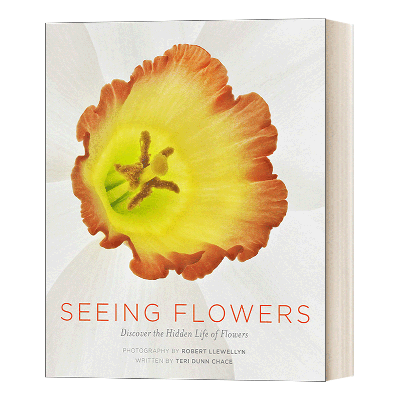 英文原版 Seeing Flowers 怎样观察一朵花 发现花朵的秘密生活 英文版 进口英语原版书籍