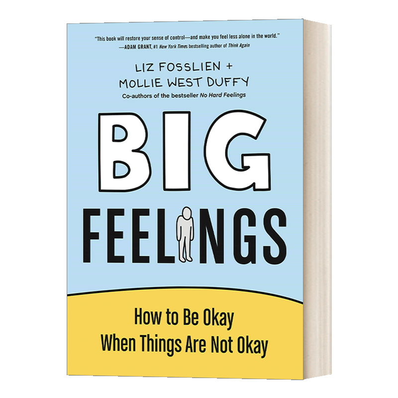 英文原版 Big Feelings 重大感知 当事情不顺利的时候如何做好 Liz Fosslien 精装 英文版 进口英语原版书籍