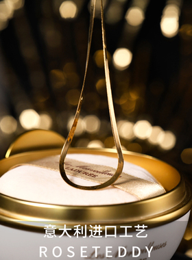 锁骨高级感设计蛇骨项链轻奢小众