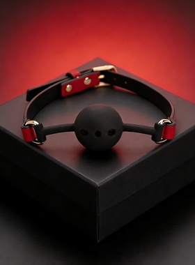 女项圈颈圈男红色新年圆环choker项链牵引绳小狗链可刻字定制