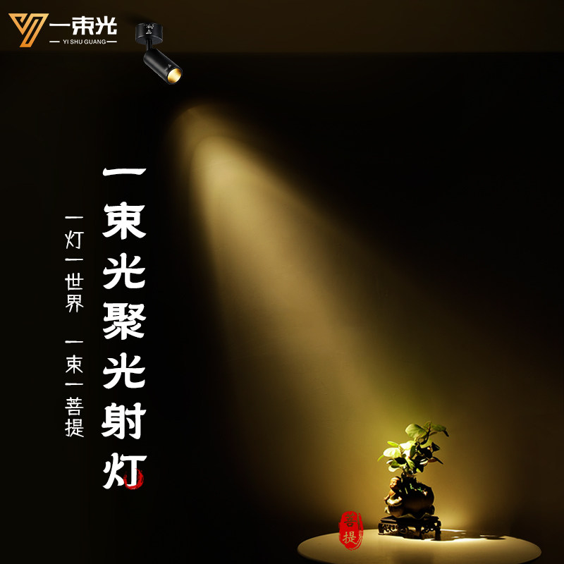 一束光聚光射灯4000K中性光明装小角度3度15艺术品氛围餐饮轨道灯,淘宝优惠券,粉丝福利购,淘宝优惠卷